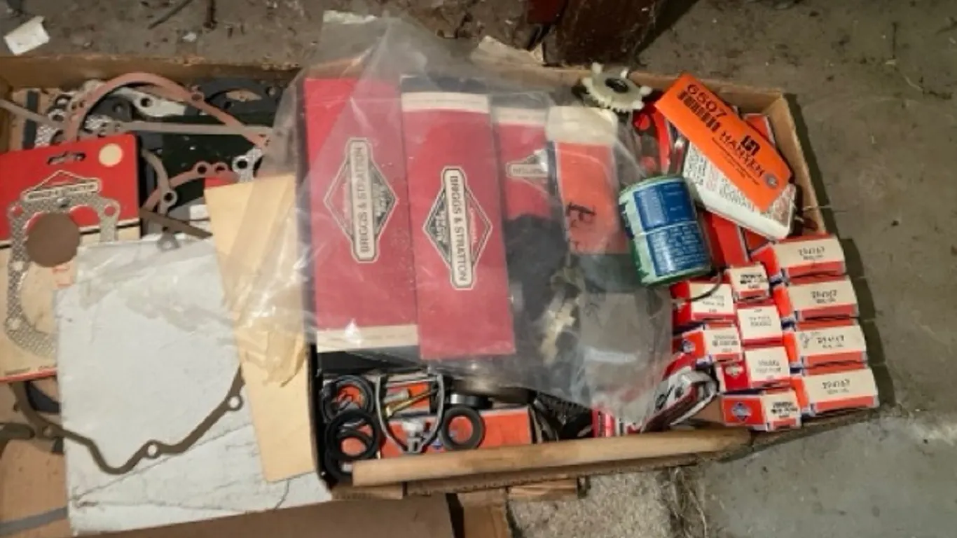 Assortment of Briggs & Stratton Engine Parts