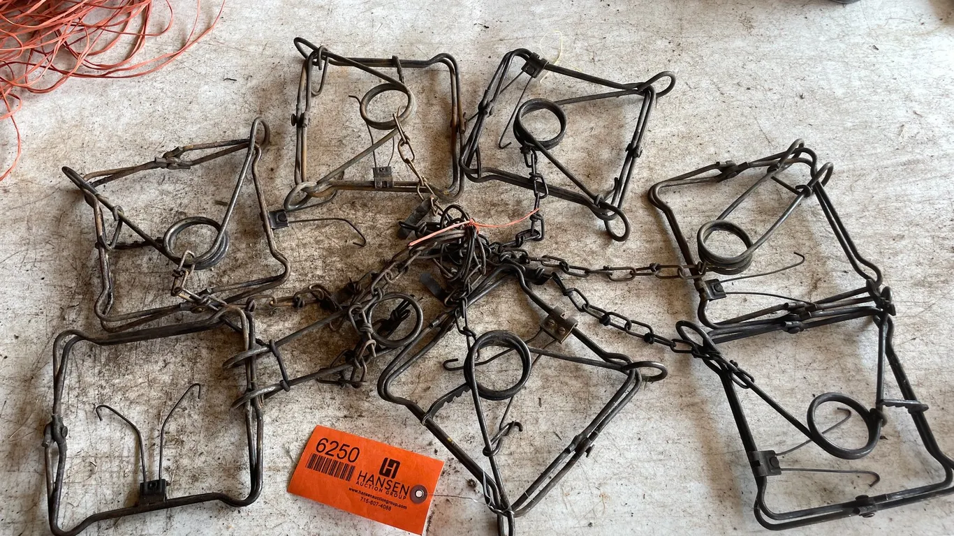 (7) 220 Conibear Traps