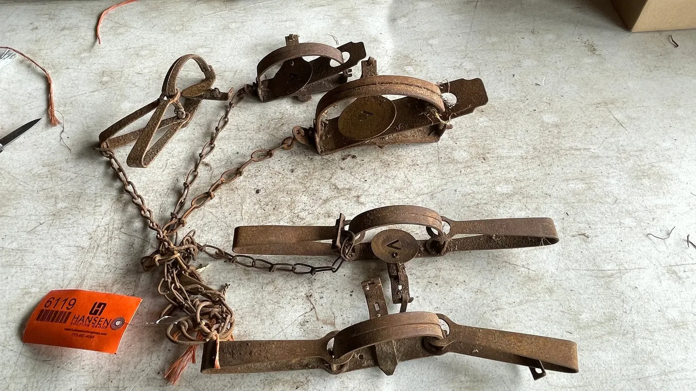 (5) Various Animal Traps