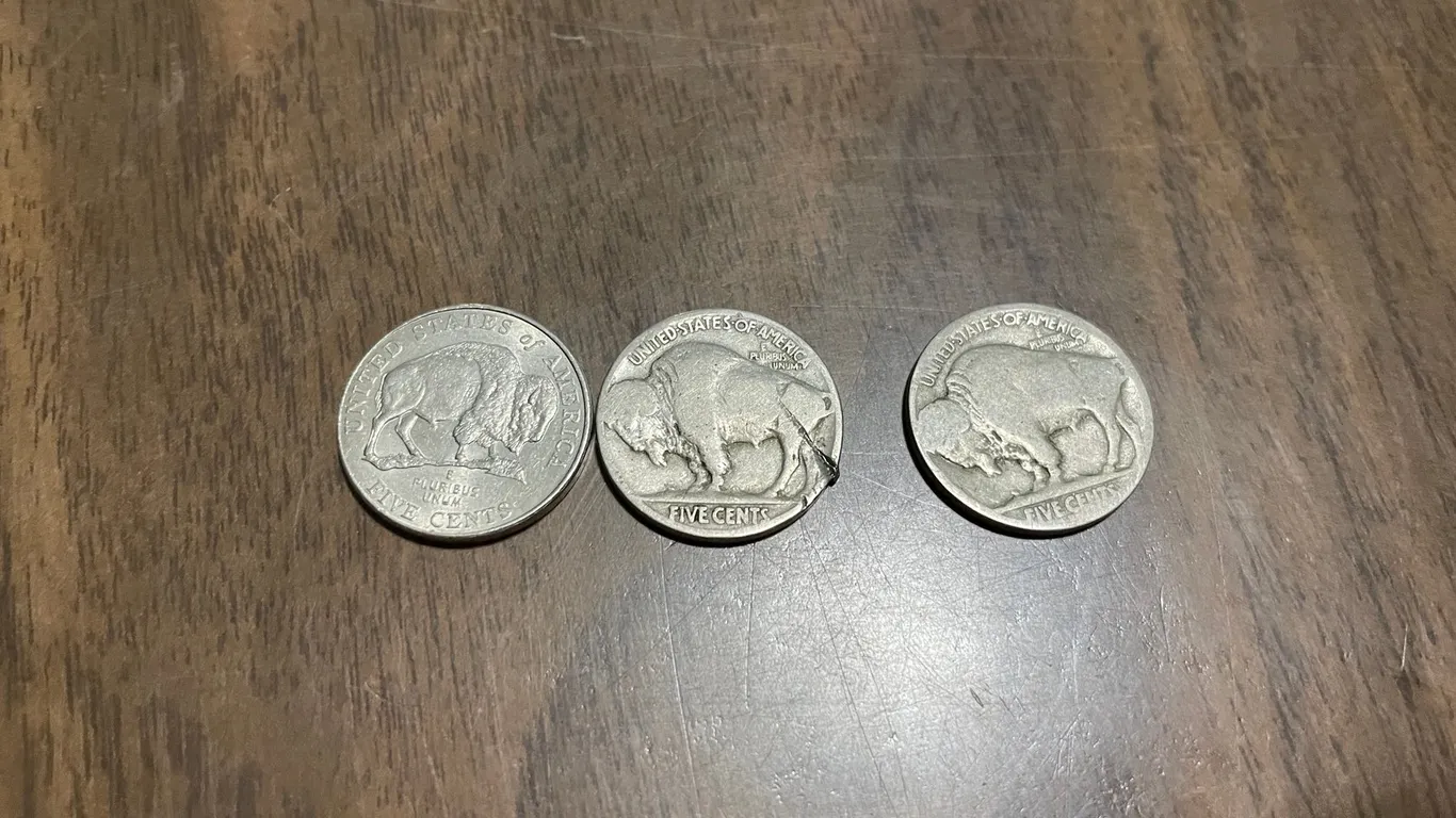(3) Buffalo Nickels