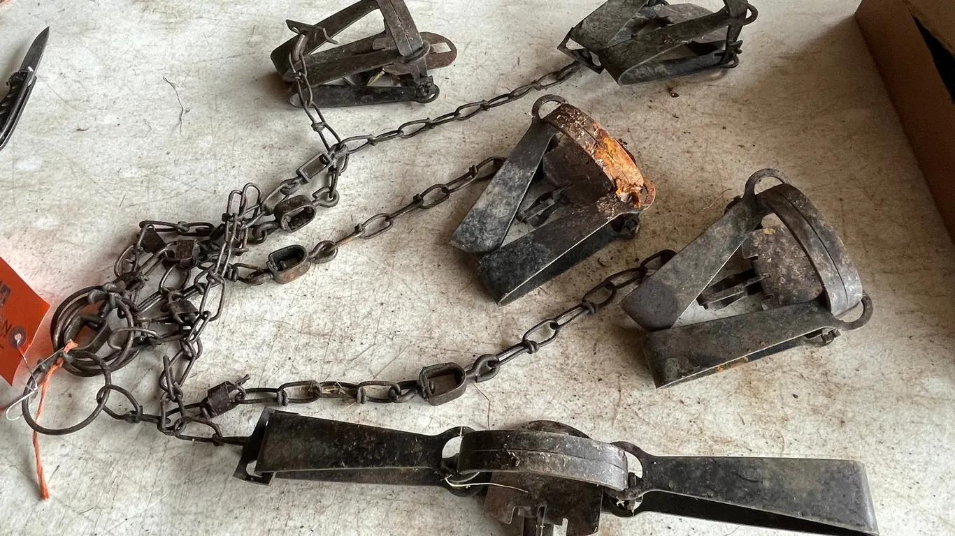 (5) Various Animal Traps