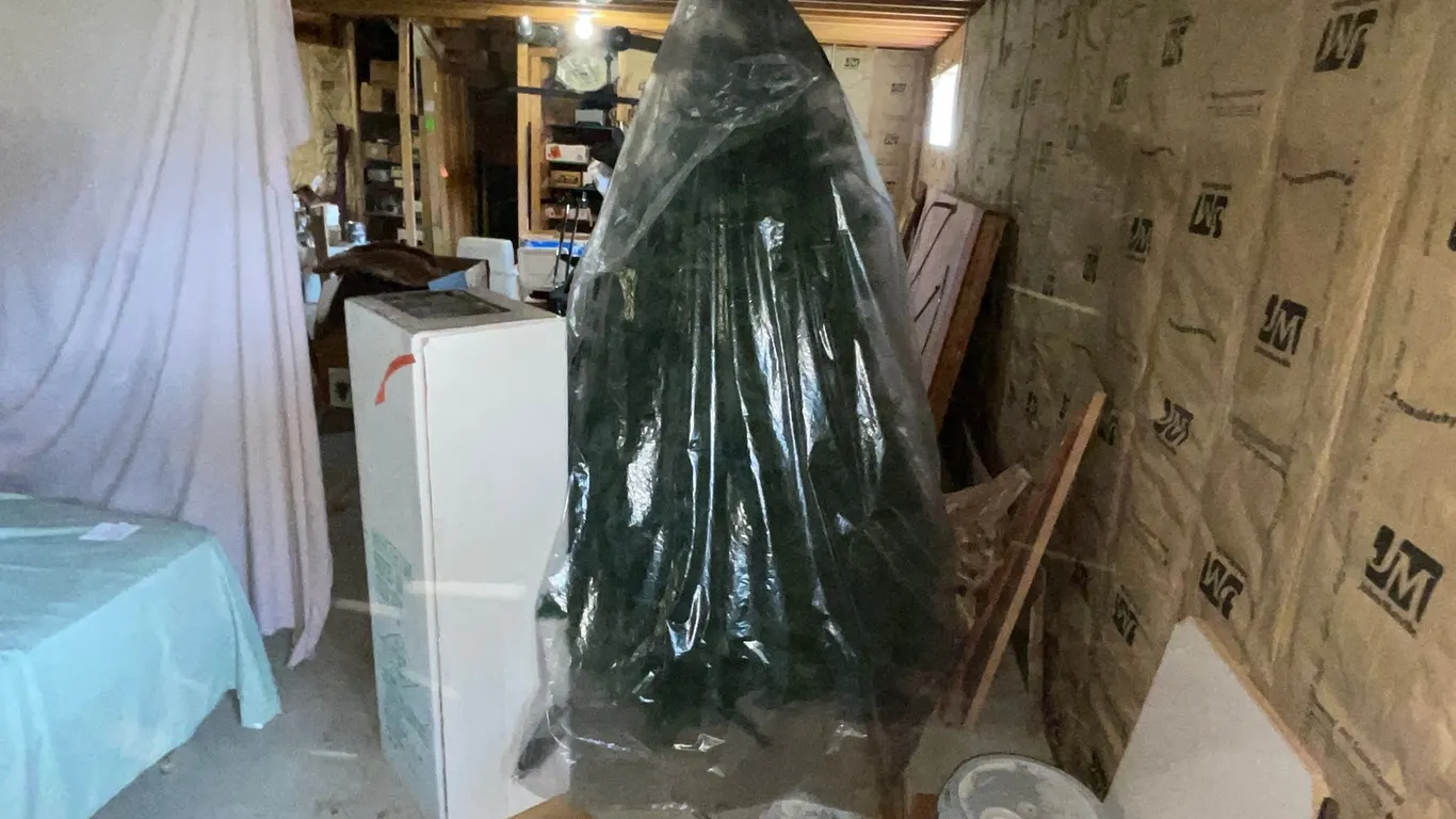 Christmas Tree and Stand