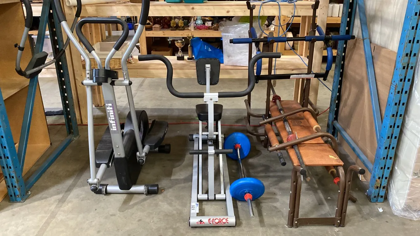 GROUP OF ASSORTED EXERCISE EQUIPMENT - WORK BENCH, TREADMILL AND EFORCE PULL-UP MACHINE