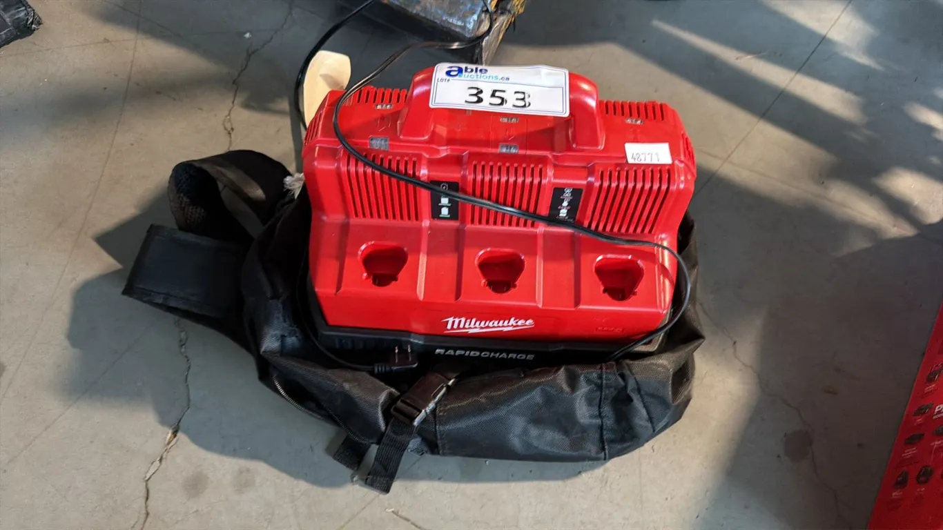 MULTI-VOLTAGE MULTI-PORT RAPID BATTERY CHARGING STATION APPARATUS WITH CANVAS TRANSPORT BAG