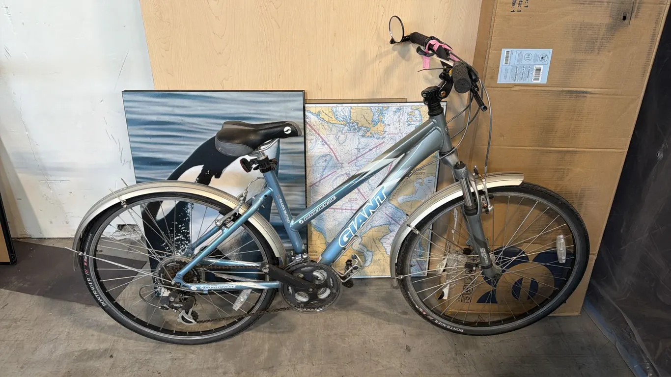 BLUE GIANT BOULDER SE 21-SPEED FRONT-SUSPENSION RECREATIONAL HARDTAIL MOUNTAIN BIKE