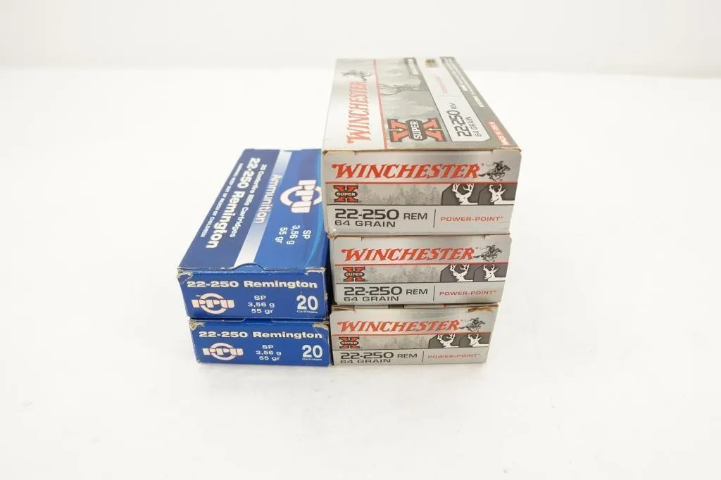 Mixed Brands 100 Rounds 22-250 Rem