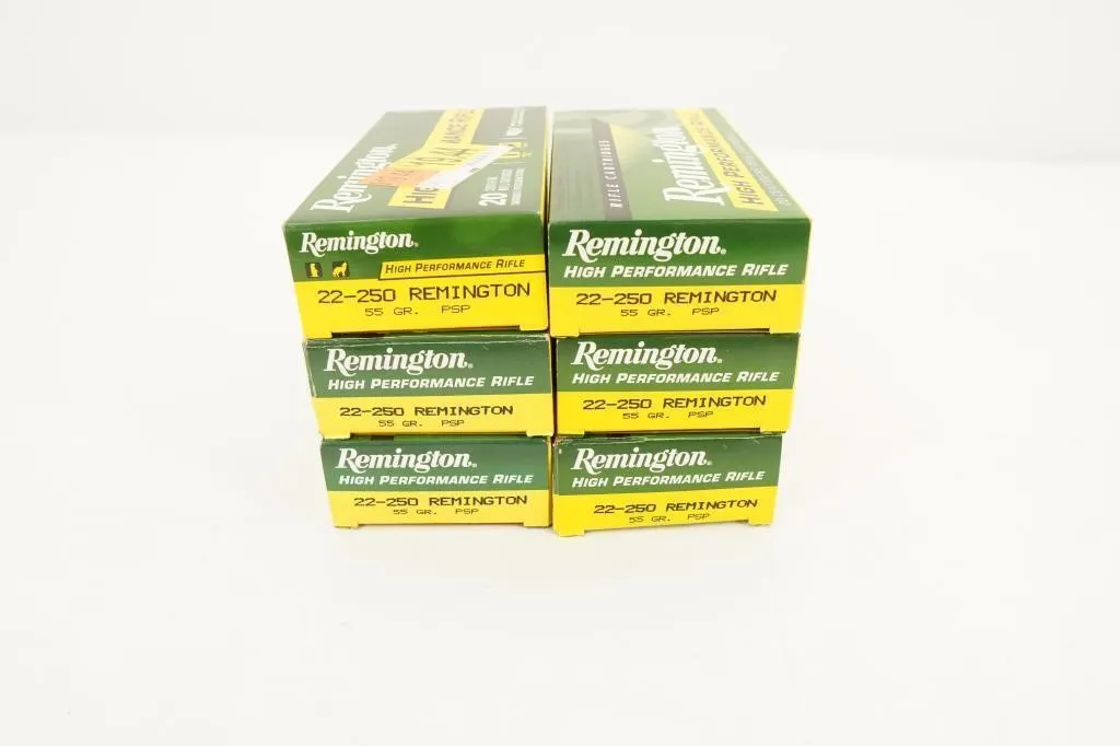 Winchester 100 Rounds Super X 45-70 Govt