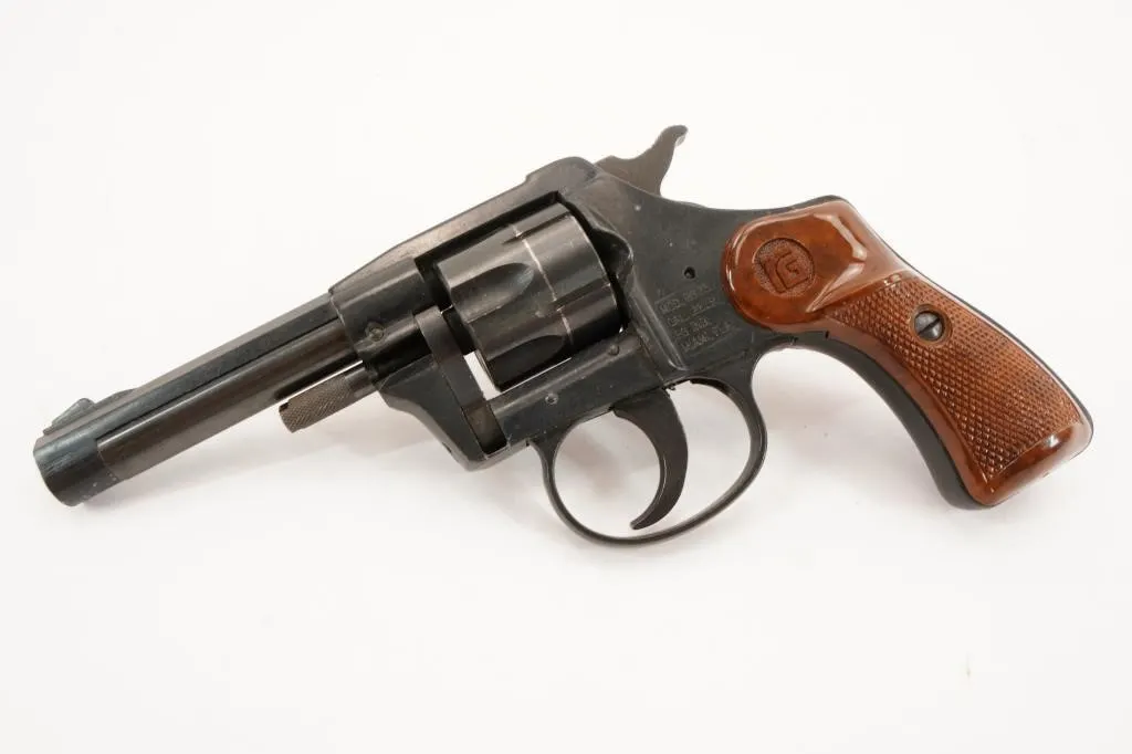 RG IND RG 23 .22LR