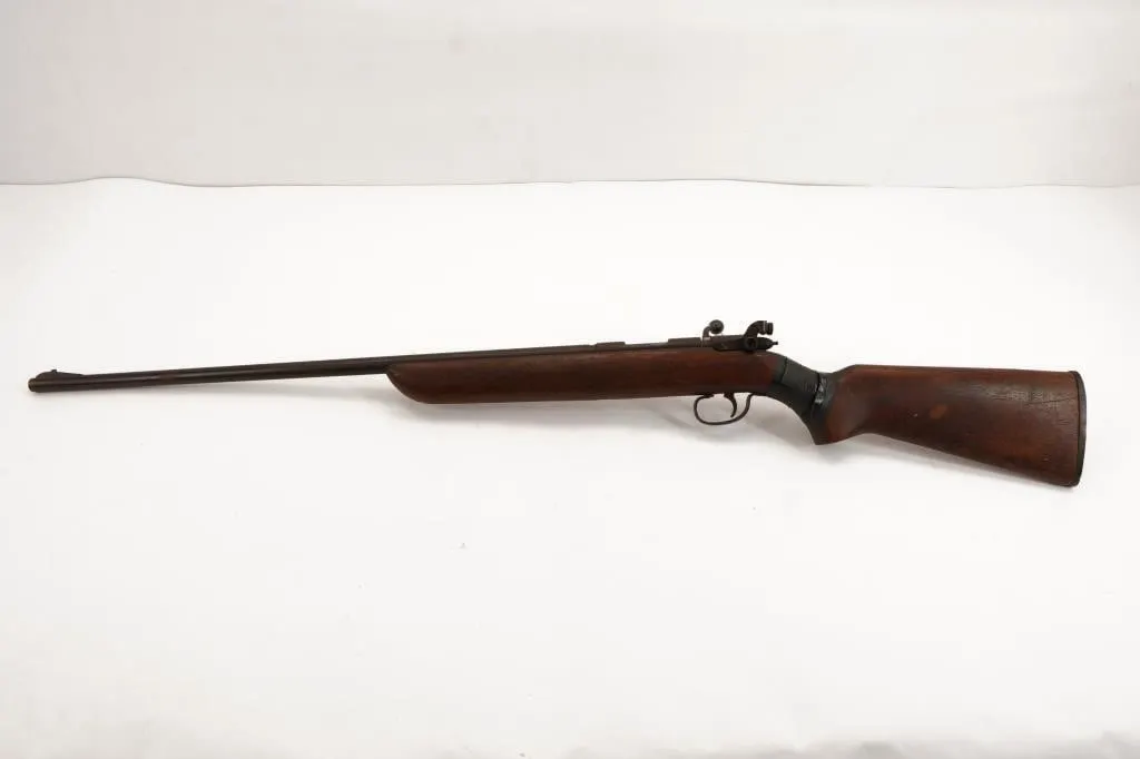 Remington targetmaster 510P .22 LR or Short