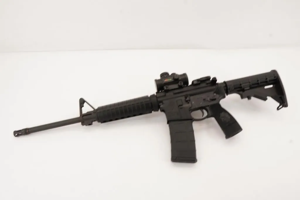 RUGER AR-556 .556 NATO
