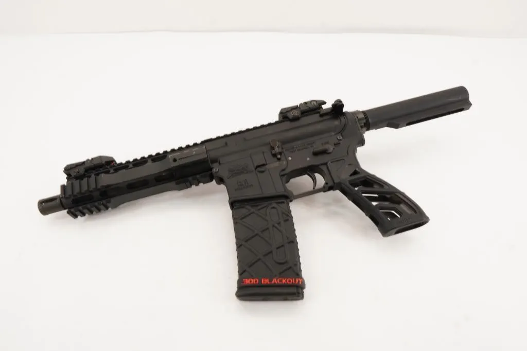 Palmetto State Armory PA-15 .300 BLK
