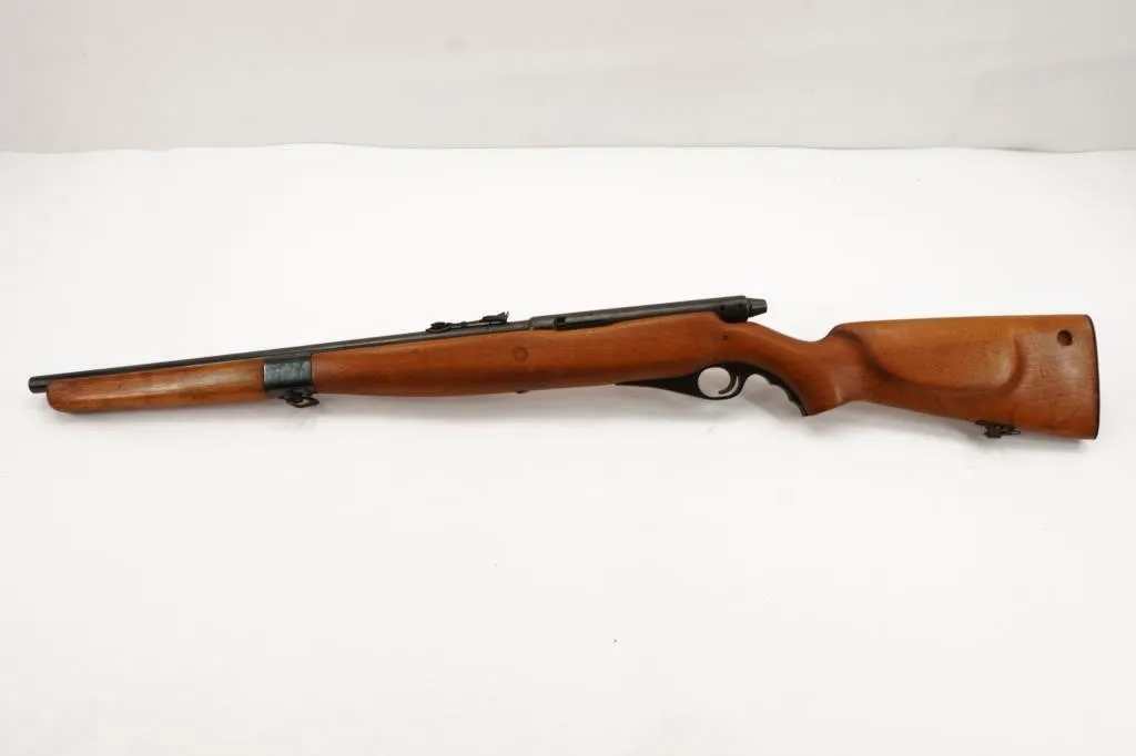 Mossberg 51M 22LR