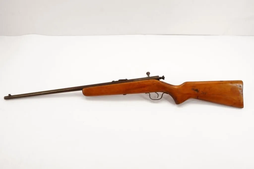 Savage 15 22LR