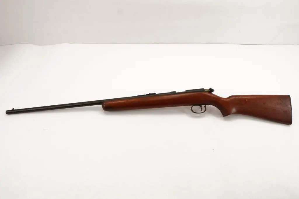 Remington 514 22LR