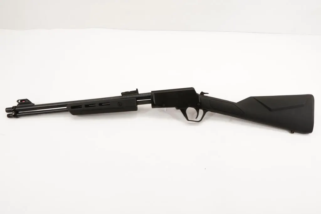 Rossi Gallery 22LR