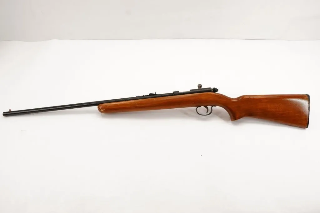 Remington 514 22LR