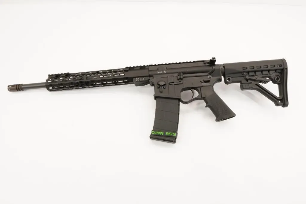 E3 Arms Omega-15 5.56 nato