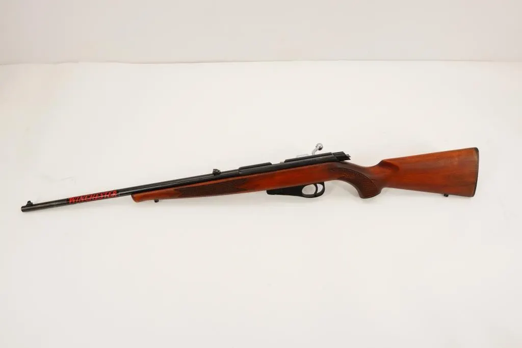 Winchester Wildcat .22LR