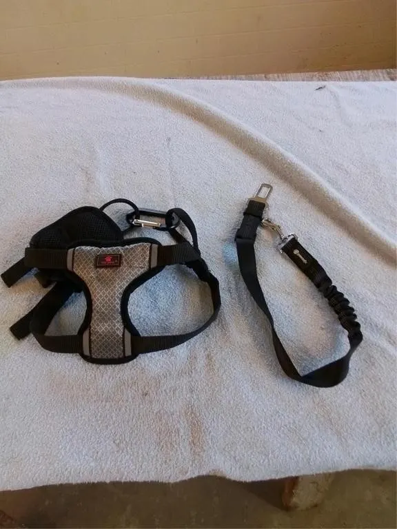 Small to medium dog harness with seat belt tether