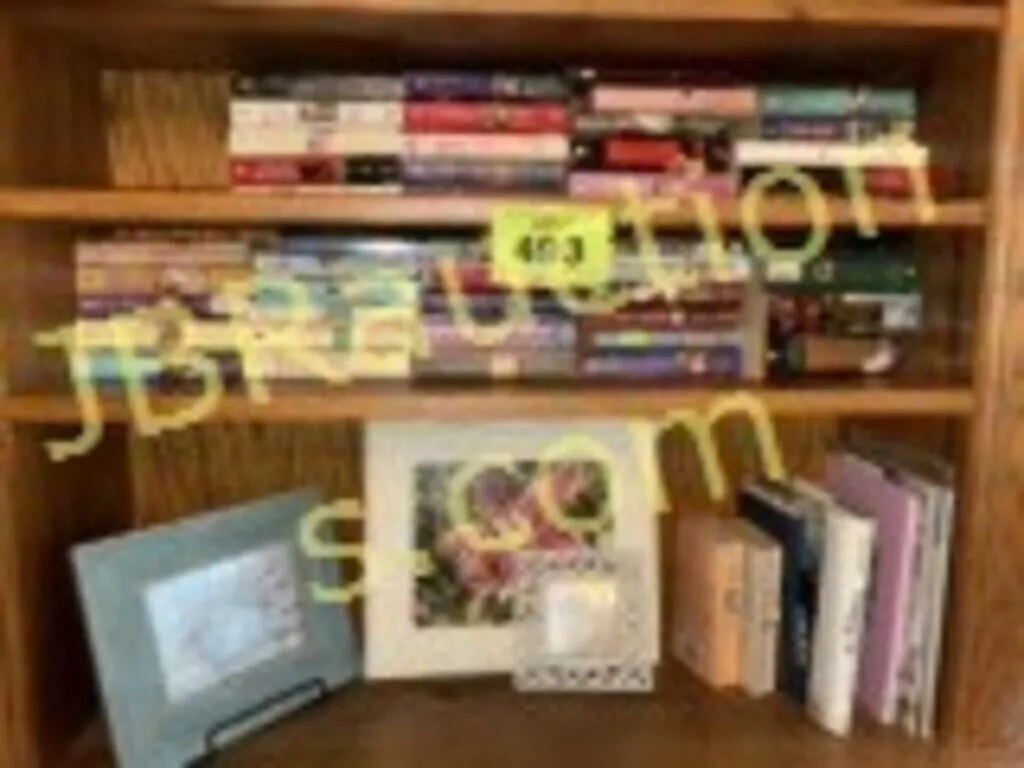 SHELVES W BOOKS AND PICTURES