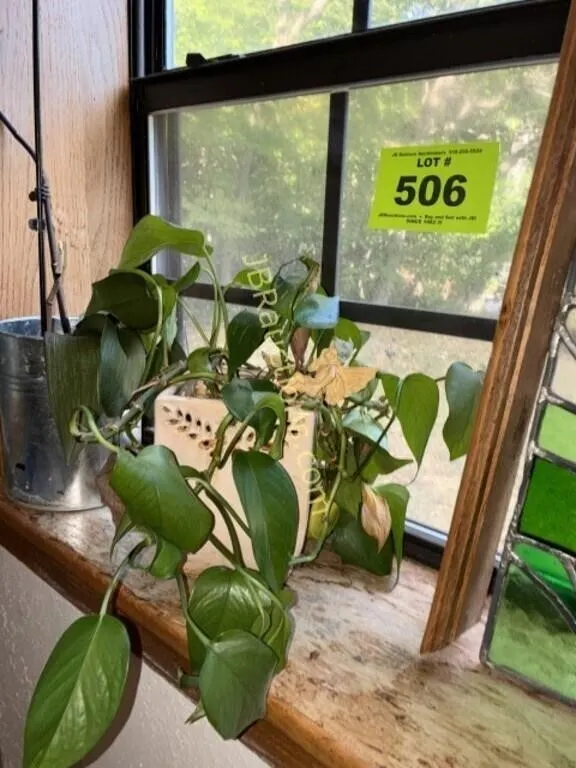 PLANT