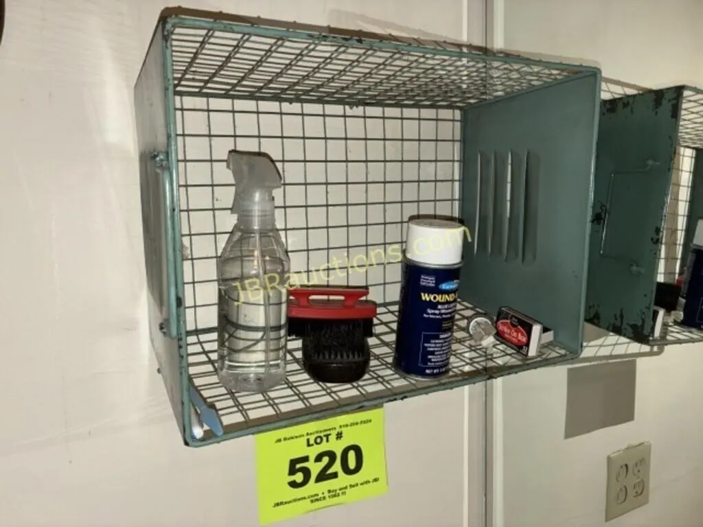 WIRE BASKET ON WALL