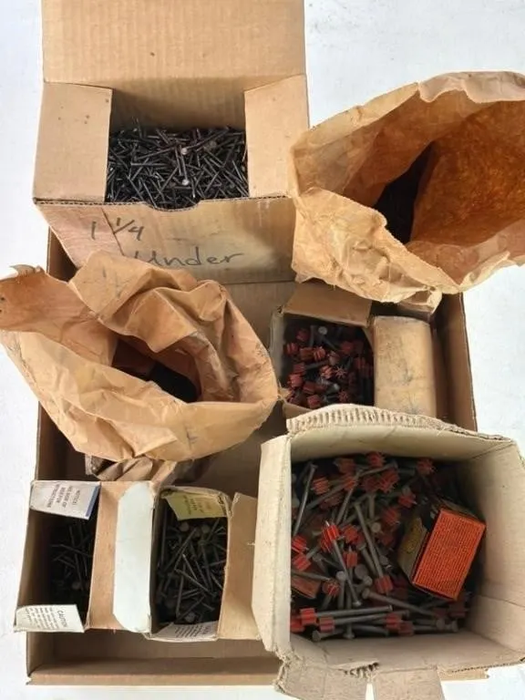 Mixed Lot Nails, Fasteners & Remington .22 Loads