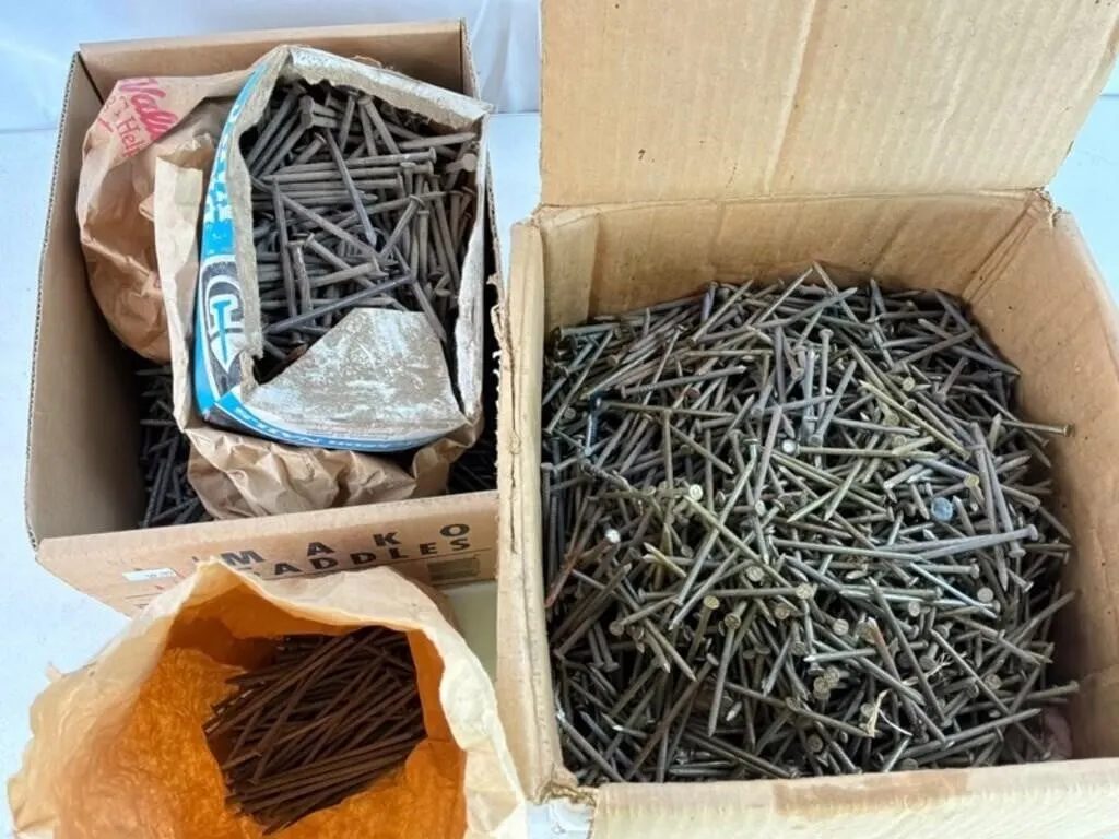 Mixed Steel Nail Assortment - Approx 2-4in