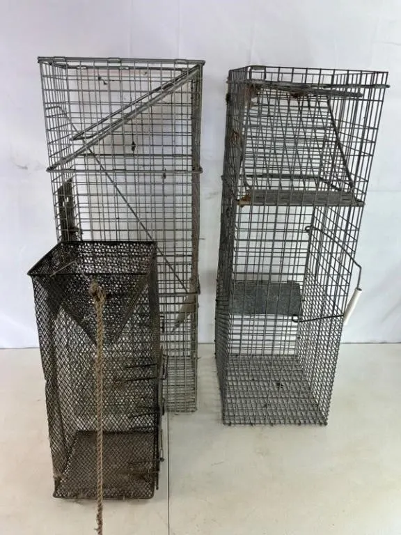 Wire Animal Traps & Cages (Lot of 3)