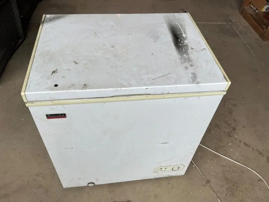 Professional Series Collezioni Chest Freezer