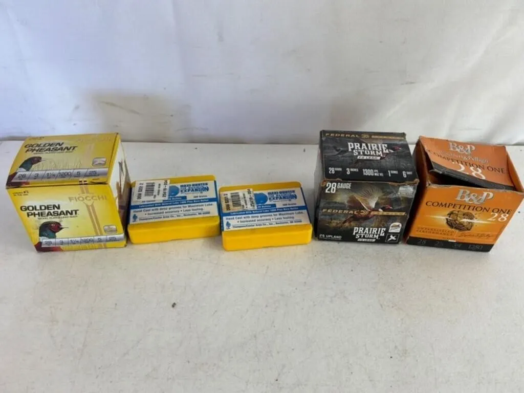 28ga Shotshells & .54cal Muzzleloader (8pc)