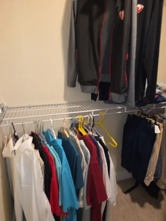 Jacket and pull over shorts and dress shirts