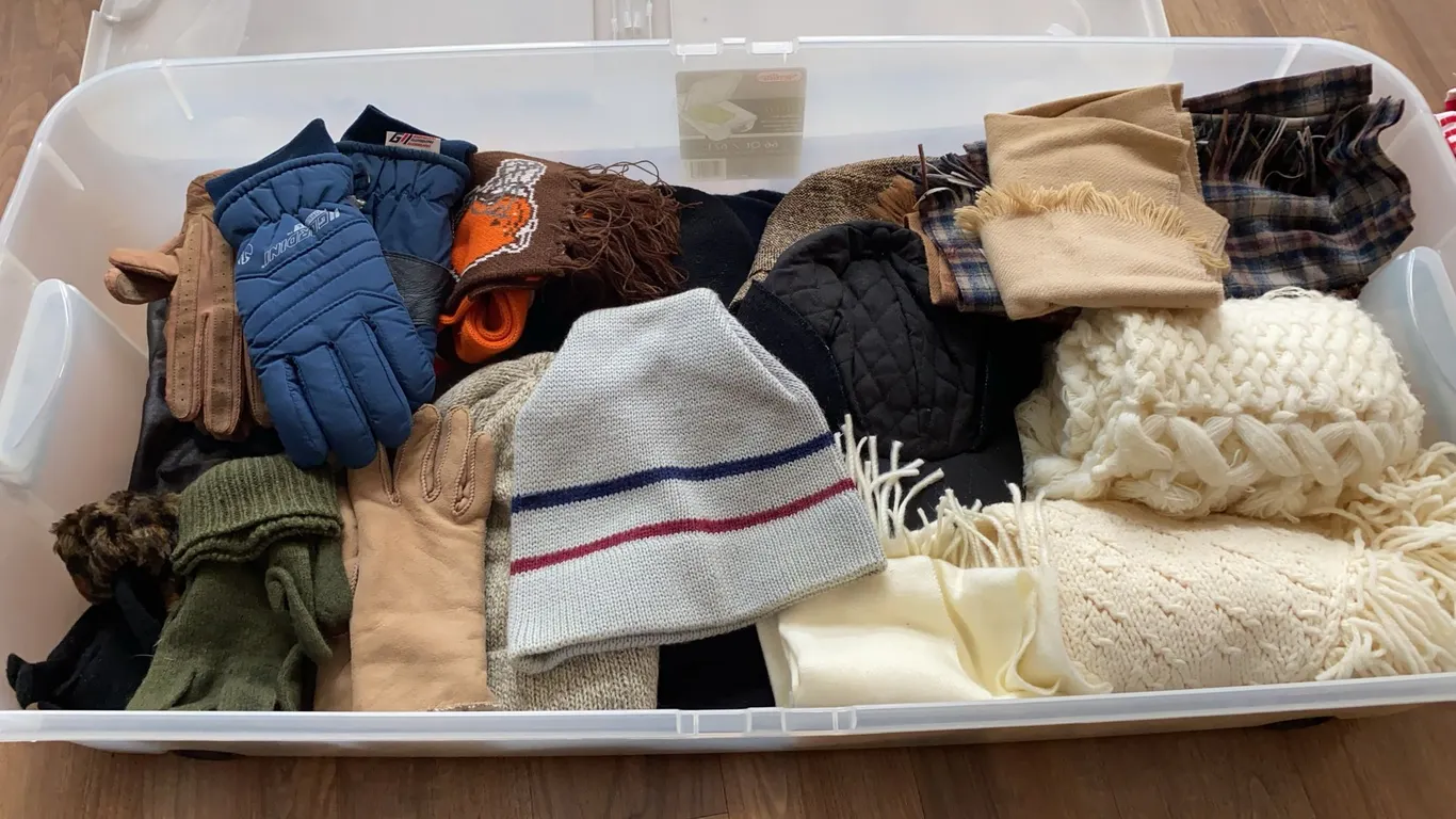 Assorted Winter Hats, Gloves & Scarves