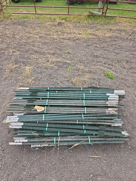 T posts