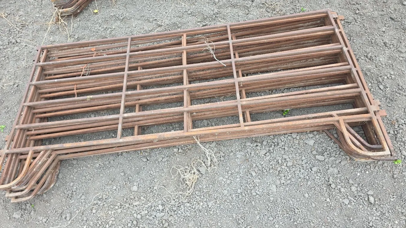 11 10' steel cattle panels