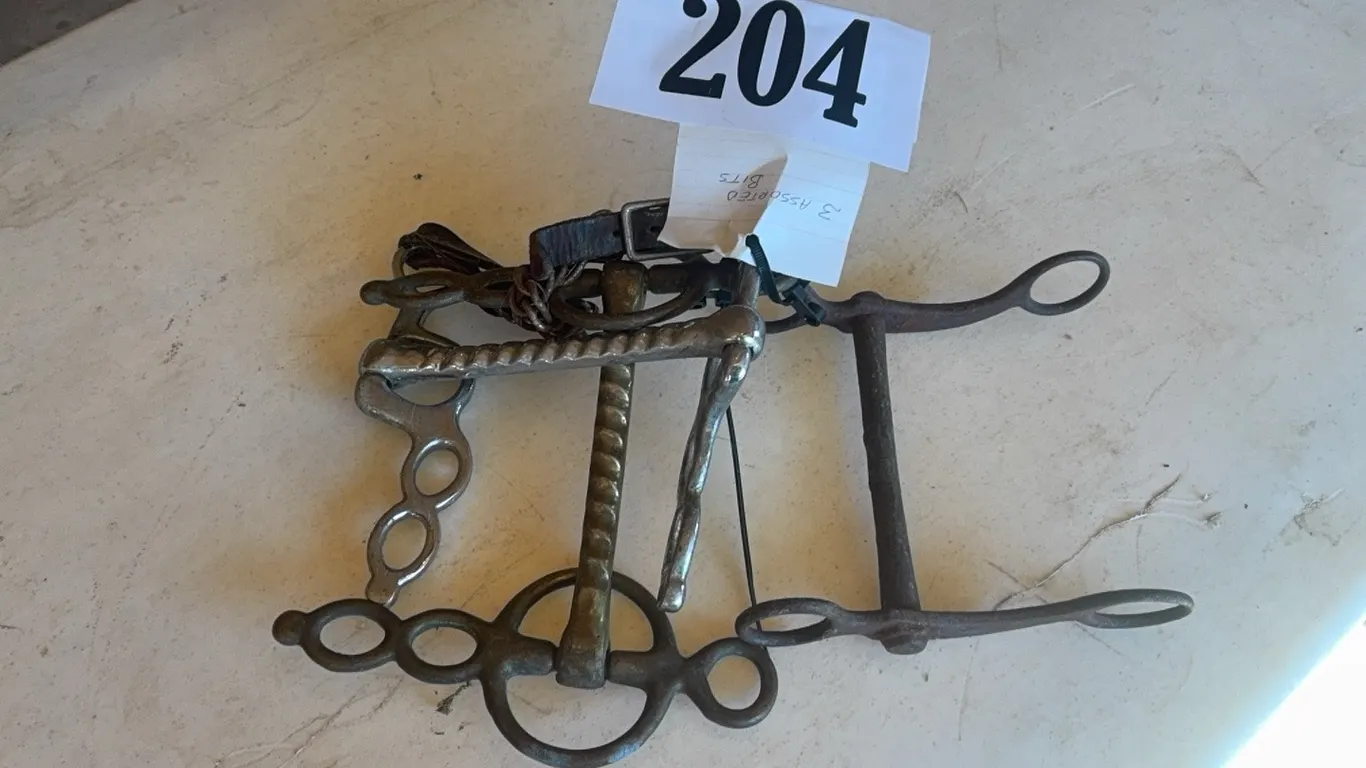 3 ASSORTED BITS