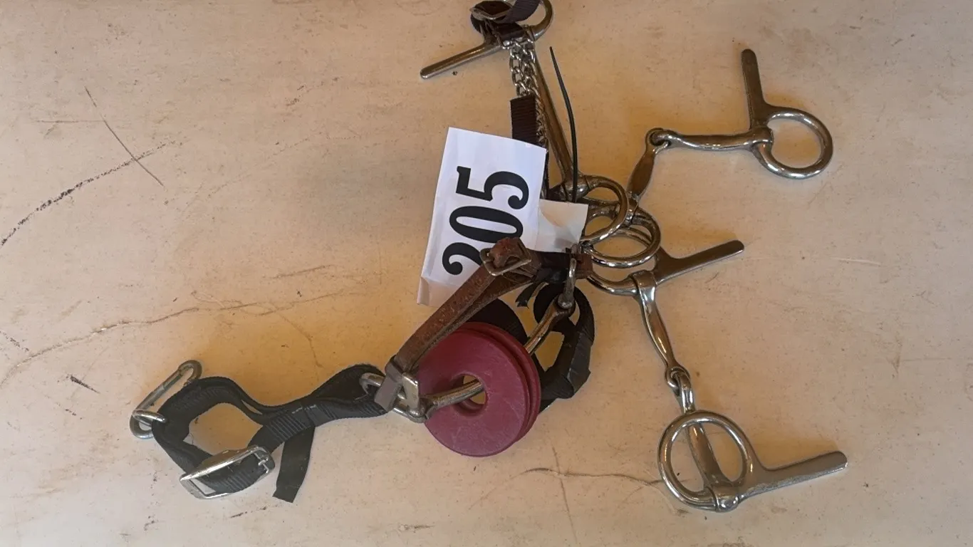4 ASSORTED BITS
