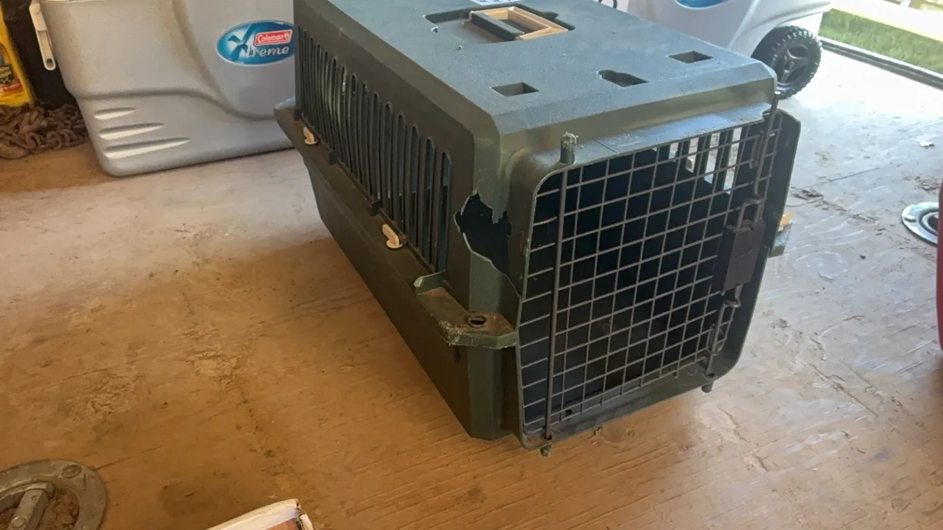 SMALL PET CARRIER