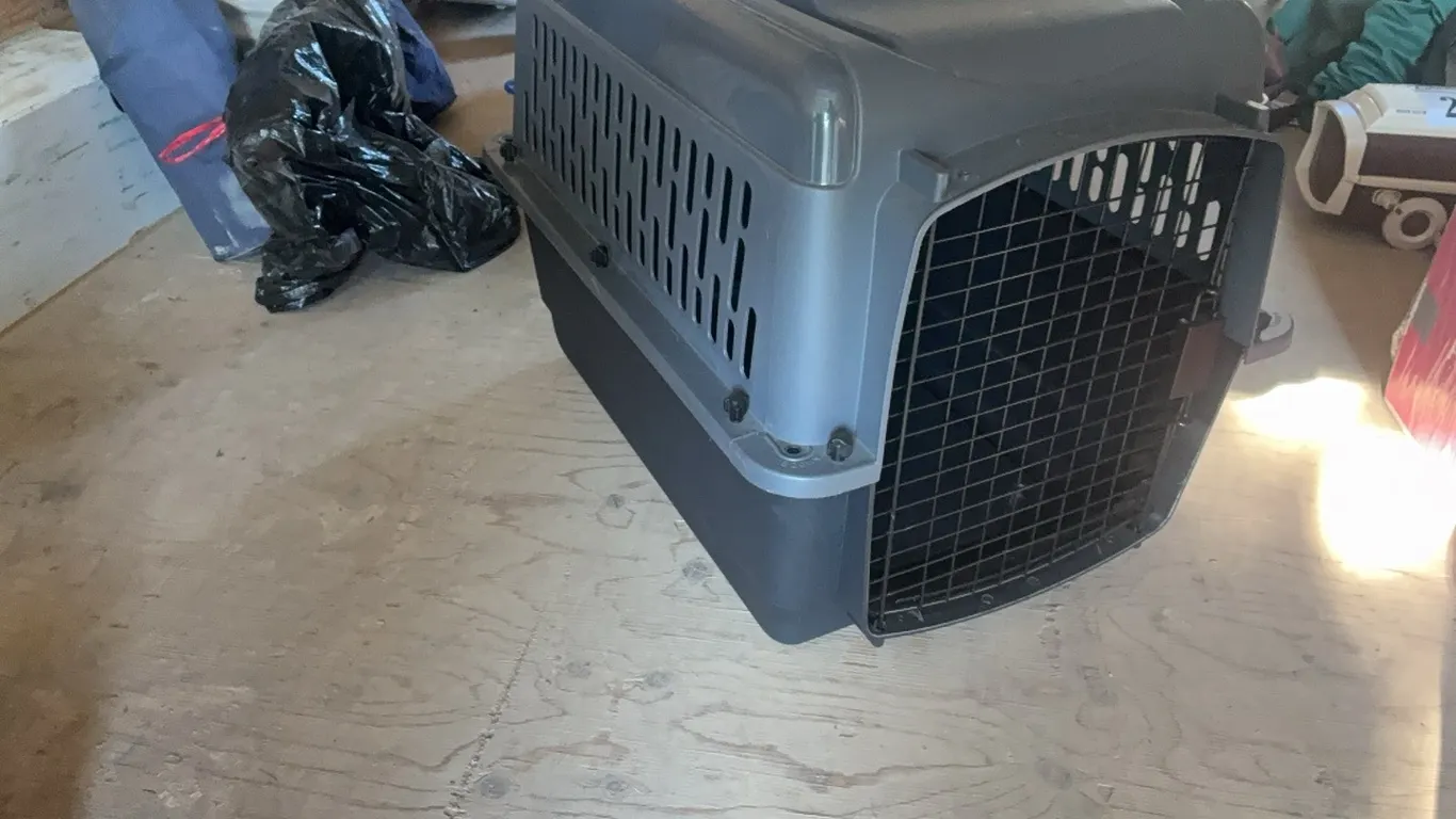 NEW/UNUSED MEDIUM PET CARRIER