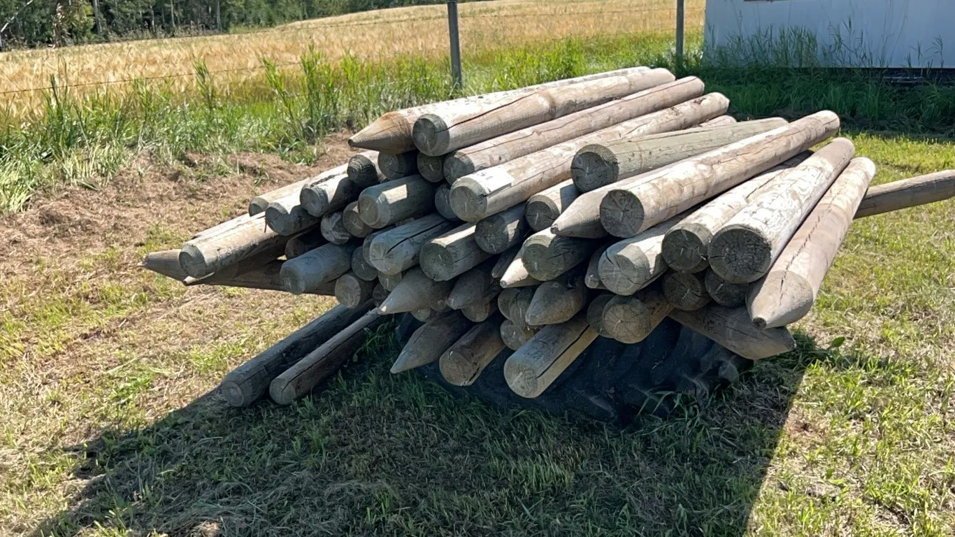 APPROX 65 6' & 7'L 4"-5"D POSTS