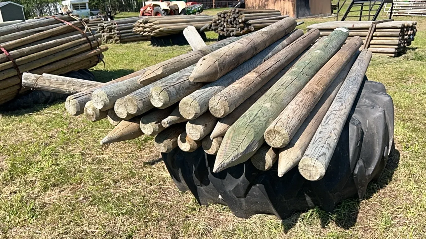 27 ASSORT 6' & 7' POSTS - SOME ARE NEW SOME ARE USED 4-5"D