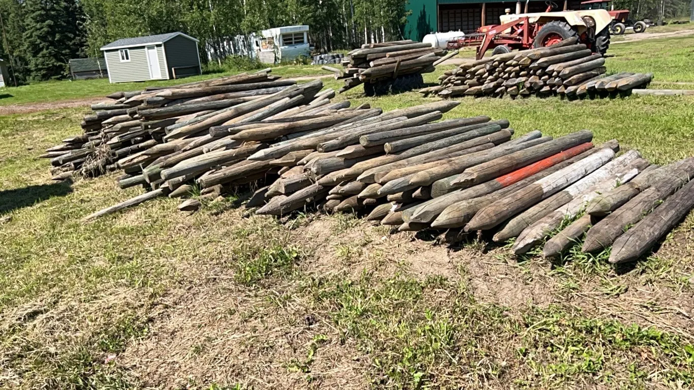 LARGE AMOUNT OF USED FENCE POSTS - VARIOUS SIZES & LENGTHS