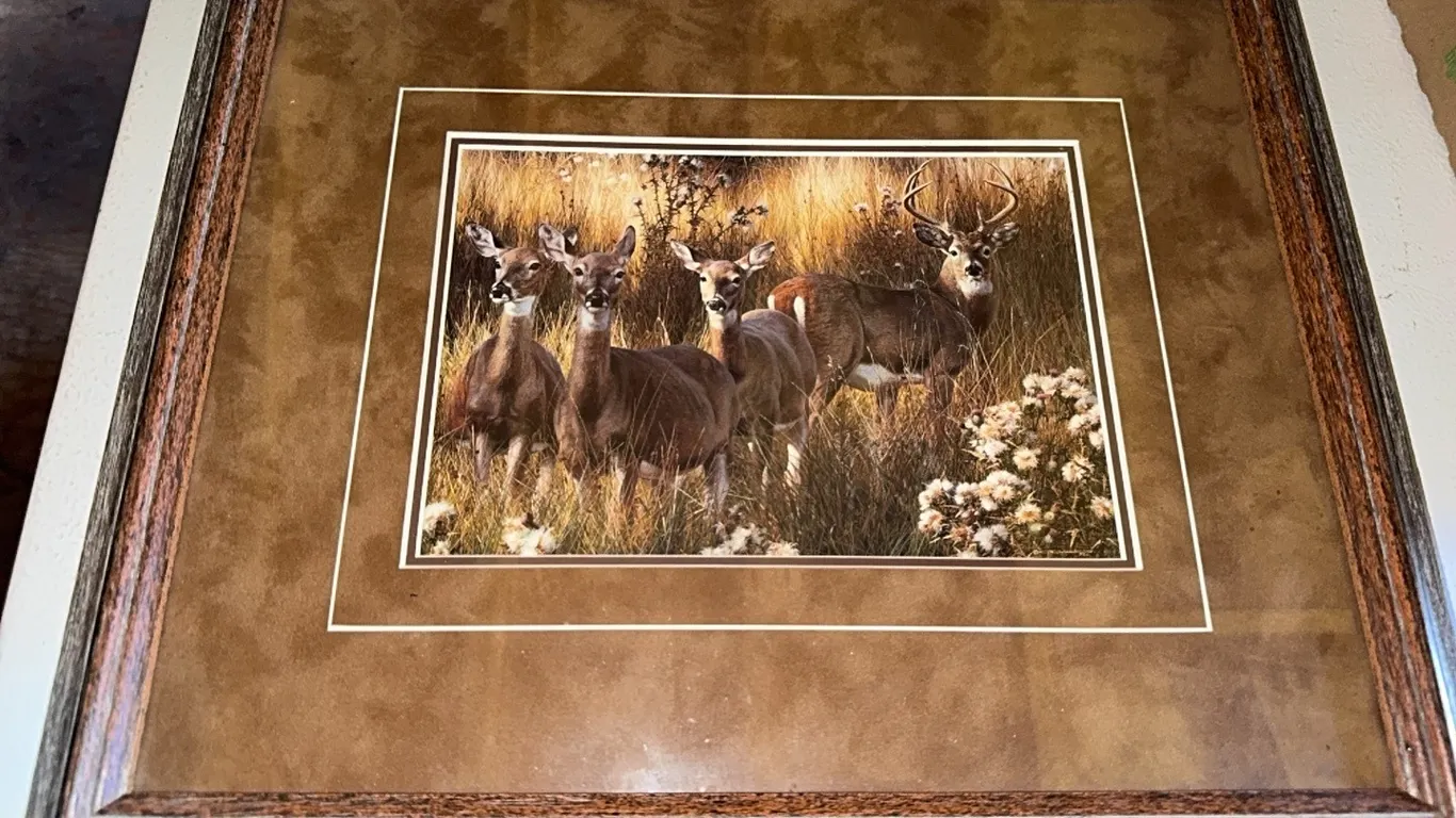 COLLECT OF WILDLIFE PICS FRAMED, CLOCK, SPOON RACK & MORE