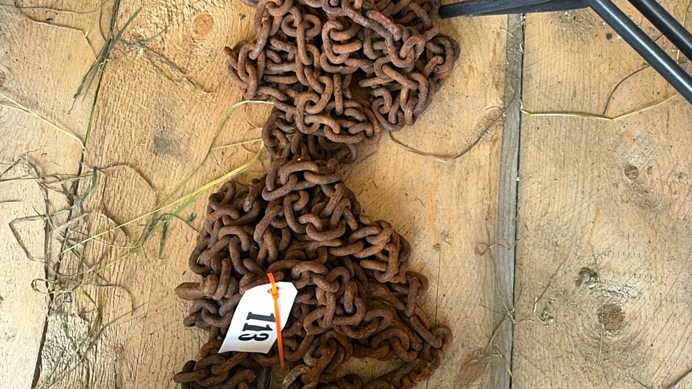 2 - LOGGING CHAINS w/ HOOKS