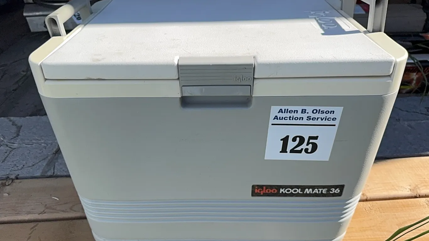 IGLOO KOOLMATE 36 ELECTRIC COOLER