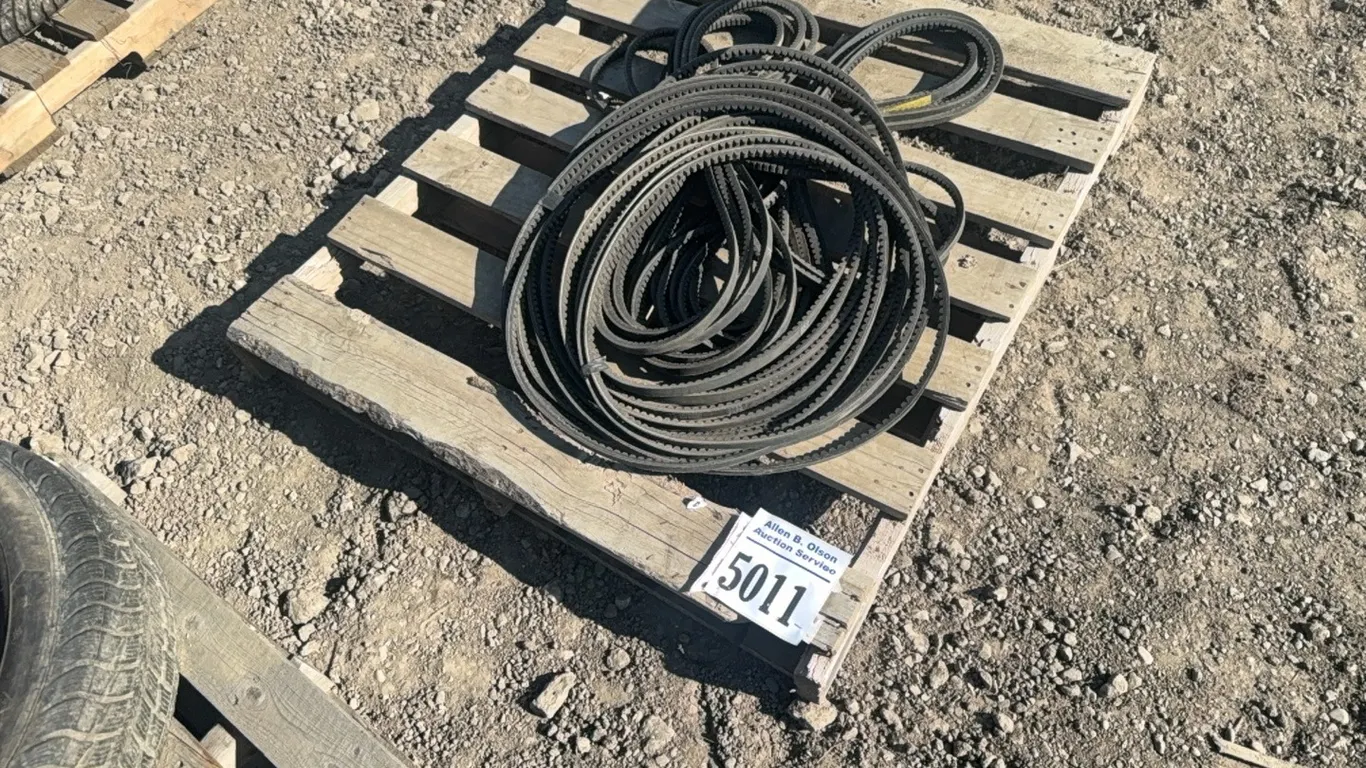 ASSORTED FAN BELTS