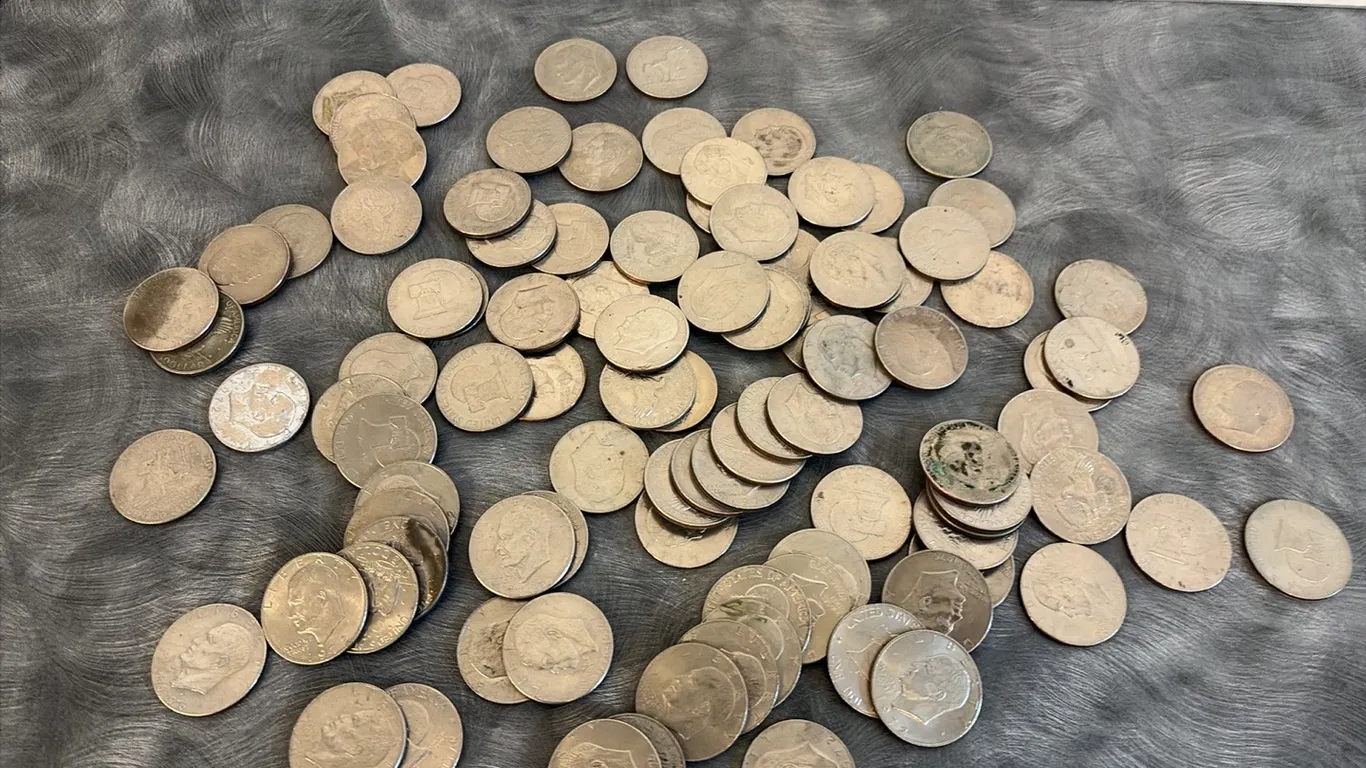 ID 5502 Ike Dollars (100)