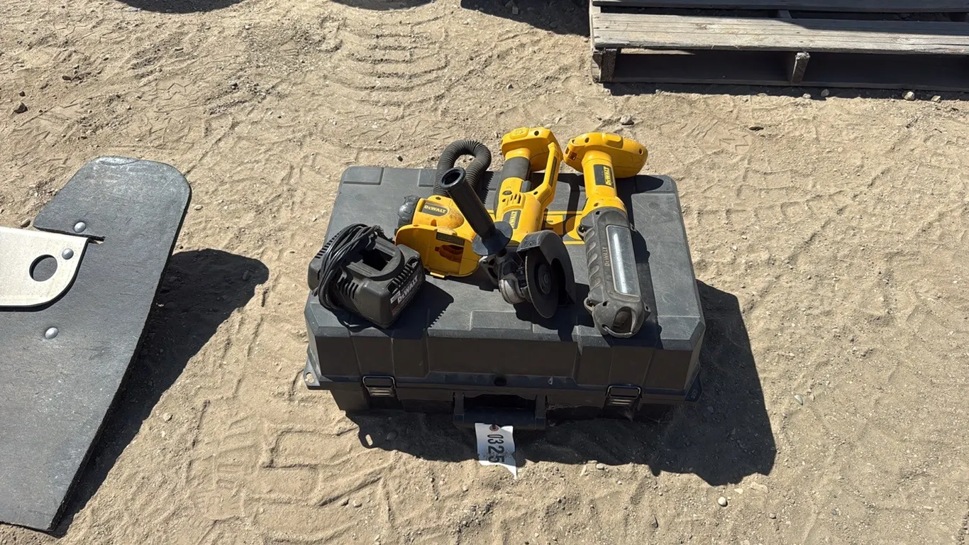 ID 0325 Dewalt 18 volt Tools