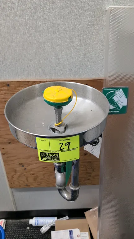 Haws wall-mounted eyewash station. Features a stainless steel round bowl, spray head with tethered dust cover, and push-flag activation handle. Includ