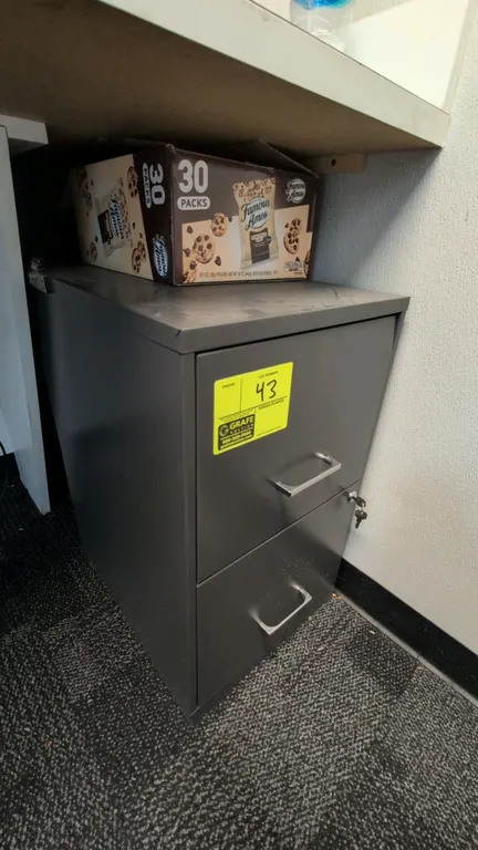 Metal 2-drawer filing cabinet. Features gray metal construction, silver-tone pull handles, and integrated lock with (2) keys included. 14"W x 24"H. Bo